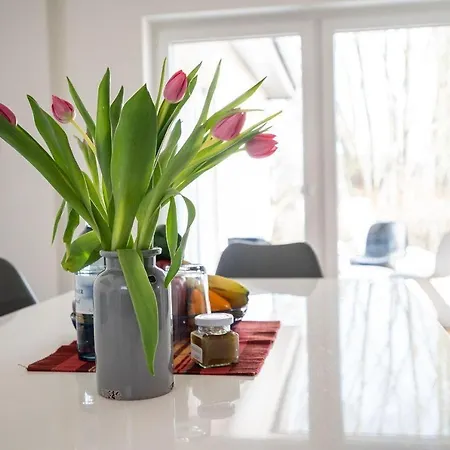 Ferienhaus-schilfblick Buchholz (Mecklenburg-Vorpommern)